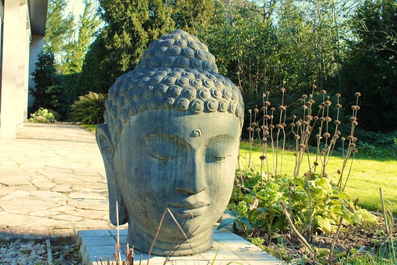 Villa Pura Vida Kortrijk Exteriör bild